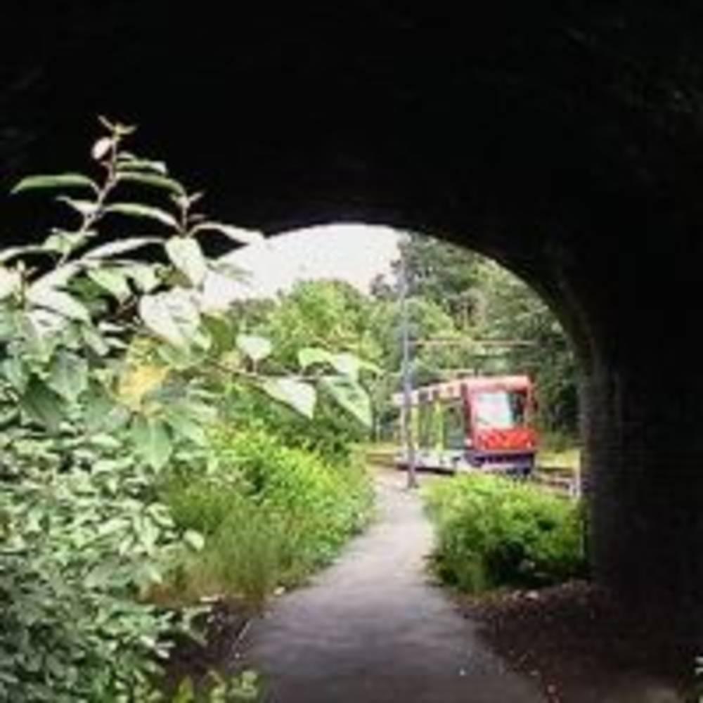 Centro